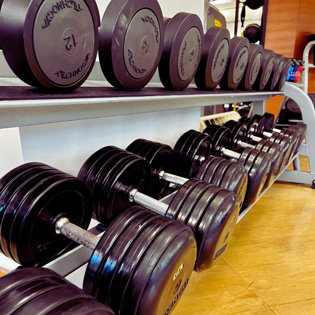 Ungenutzte Hanteln und Gewichte auf einem Rack im Fitnessstudio – das typische Schicksal für gute Vorsätze 2026.